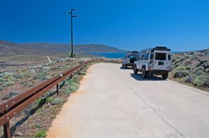 Asinara_off_road_vehicles