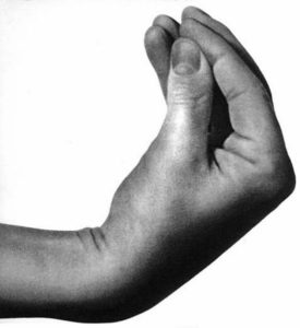 Italy hand Gesture
