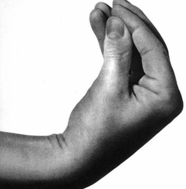 Italy hand Gesture